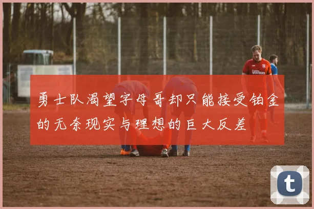勇士队渴望字母哥却只能接受铂金的无奈现实与理想的巨大反差