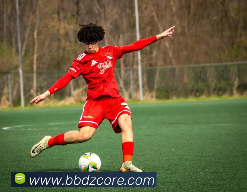 BBIN电子发展历程